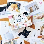 フェリシモの部活の一つ「猫部」が販売する人気の日めくりカレンダー。全国の愛猫家とともに作っている。販売価格の一部は基金として役立てられる（同社提供）