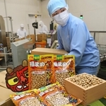 節分に向け、出荷作業が続く福豆＝22日午前、神戸市長田区神楽町２、吉田ピーナツ食品（撮影・丸山桃奈）