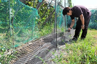 アライグマの鼻先が当たる位置に電流を流す柵＝豊岡市出石町伊豆