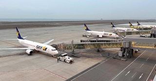 午前７時すぎの神戸空港。国内線の駐機場にはスカイマーク機がずらりと並ぶ＝１月、神戸市中央区