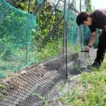 アライグマの鼻先が当たる位置に電流を流す柵＝豊岡市出石町伊豆