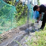 アライグマの鼻先が当たる位置に電流を流す柵＝豊岡市出石町伊豆