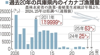 過去２０年の兵庫県内のイカナゴ漁獲量