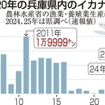 過去２０年の兵庫県内のイカナゴ漁獲量