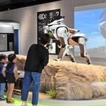 大阪・関西万博の会場からカワサキワールドに移設された「コルレオ」の模型＝神戸市中央区波止場町