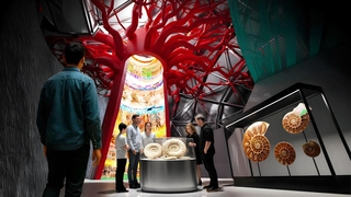 「生命進化の樹」のイメージ図（パソナグループ提供）