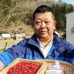 高温少雨下でマルチを使った栽培に手応えを得ている美方大納言小豆の生産者の中村秀行さん＝兵庫県香美町村岡区大糠