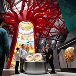 「生命進化の樹」のイメージ図（パソナグループ提供）