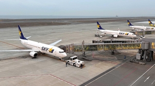 神戸空港の駐機場に並ぶスカイマーク機＝神戸市中央区