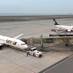 神戸空港の駐機場に並ぶスカイマーク機＝神戸市中央区