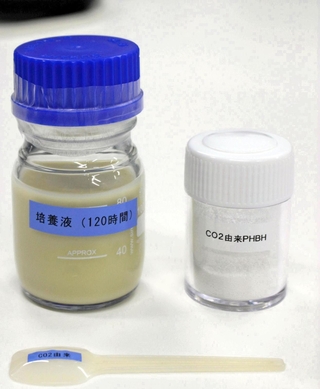 微生物が入った培養液（左）と精製したバイオポリマー（右）、スプーンのサンプル（手前）＝神戸市中央区港島南町