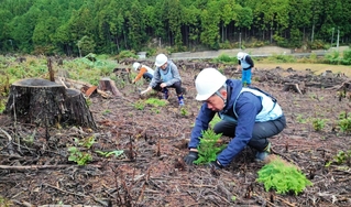 丁寧に苗木を植えるメンバーたち＝神河町（提供）