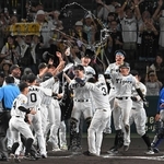 サヨナラホームランに歓喜する阪神ナイン＝９月２１日、甲子園球場
