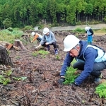 丁寧に苗木を植えるメンバーたち＝神河町（提供）