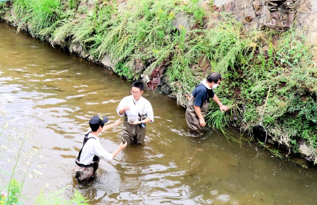 １０月に津門川で行われた生物調査の様子＝西宮市北昭和町