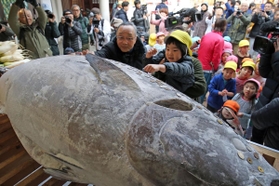 マグロにさい銭を貼り付ける参拝客（２０２０年１月撮影）