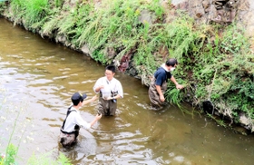 １０月に津門川で行われた生物調査の様子＝西宮市北昭和町