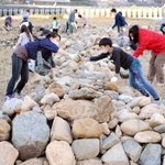 石を積み上げ「生」のオブジェを再生させる親子連れら＝宝塚市の武庫川中州