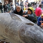 マグロにさい銭を貼り付ける参拝客（２０２０年１月撮影）