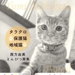 鉛筆で愛猫の表情を描いた「タラクロ・保護猫・地域猫　西方由美えんぴつ画集」