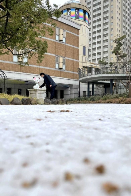 雪が降り積もった宝塚市立文化芸術センターの庭園＝宝塚市武庫川町