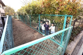 津知公園に隣接する市有地。四方はフェンスに囲まれている＝芦屋市津知町