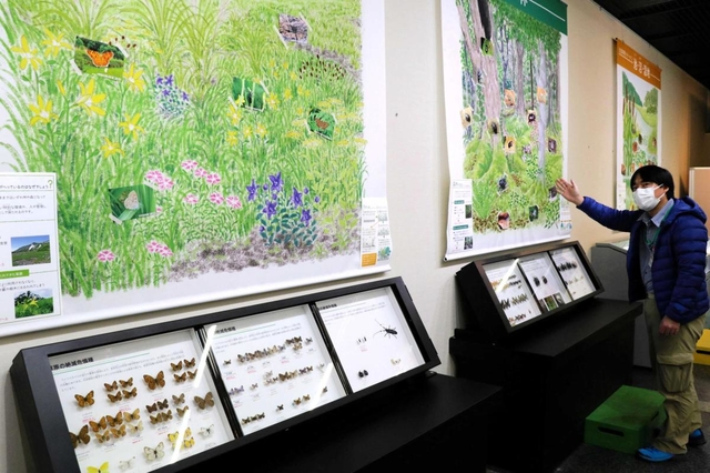 絶滅危惧種が増えている理由として、草原や森林の消失など生息域の変化を挙げる田中良尚学芸員＝伊丹市昆陽池、伊丹市昆虫館