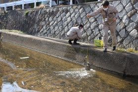水質調査のため川から水をくみ上げる西宮市職員＝西宮市丸橋町