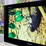 希少種昆虫の生態を紹介する動画＝伊丹市昆陽池、伊丹市昆虫館