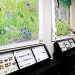 絶滅危惧種が増えている理由として、草原や森林の消失など生息域の変化を挙げる田中良尚学芸員＝伊丹市昆陽池、伊丹市昆虫館