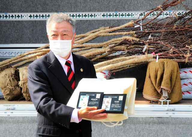 西宮市のオリジナルサクラを紹介する樹名板＝西宮市鳴尾浜２