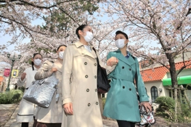 音楽学校へ向かう合格者＝宝塚市栄町１（撮影・斎藤雅志）