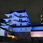 青色の光に照らされた尼崎城＝２３日夜、尼崎市北城内（撮影・村上貴浩）