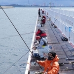 糸を垂らす釣り客。自ずとソーシャルディスタンスは保たれる＝尼崎市平左衛門町、魚つり公園