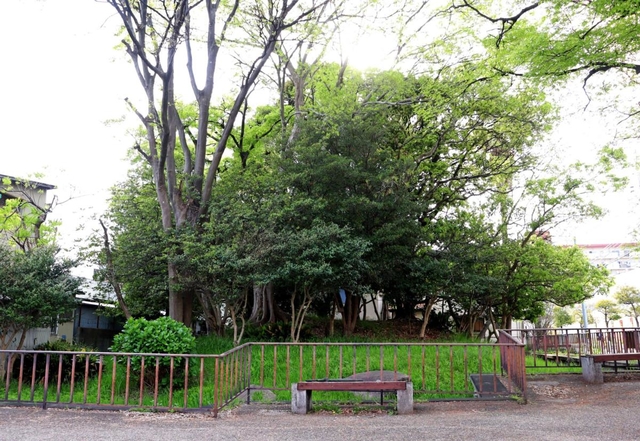尼崎唯一の山と呼ばれる「菜切山」。山らしく撮るのも難しい＝尼崎市菜切山町