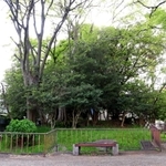 尼崎唯一の山と呼ばれる「菜切山」。山らしく撮るのも難しい＝尼崎市菜切山町