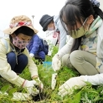 ウマノスズクサの植え替えボランティアには親子連れの姿も＝５日午前、西宮市西波止町