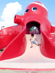 明石市の松江公園＝明石市松江