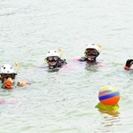 海へ入る潜水隊員たち＝芦屋市内（市広報国際交流課提供）