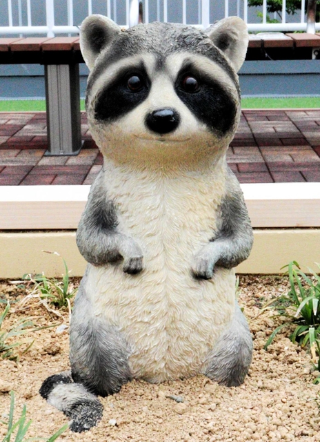 アライグマさん＝メルカードむこがわ