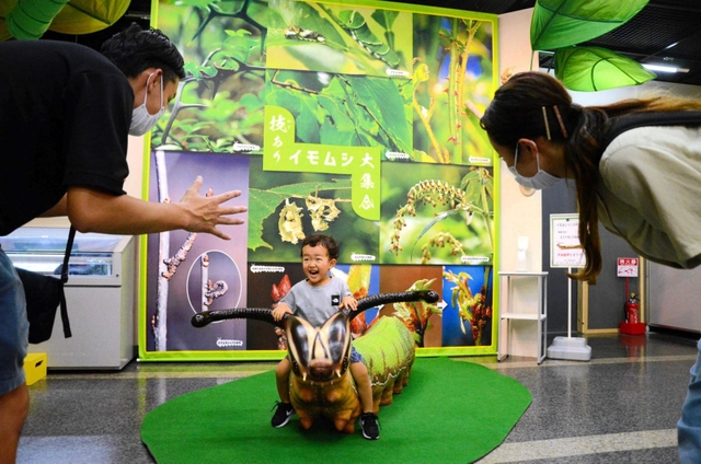スミナガシの幼虫を模した「イモムシベンチ」に座る子ども＝伊丹市昆虫館