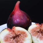 熟れて食べごろとなったイチジク