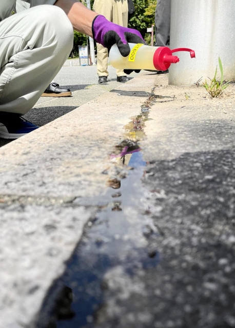 除草後、再び草が生えるのを防ぐためシリコン樹脂を注入する作業＝西宮市津田町