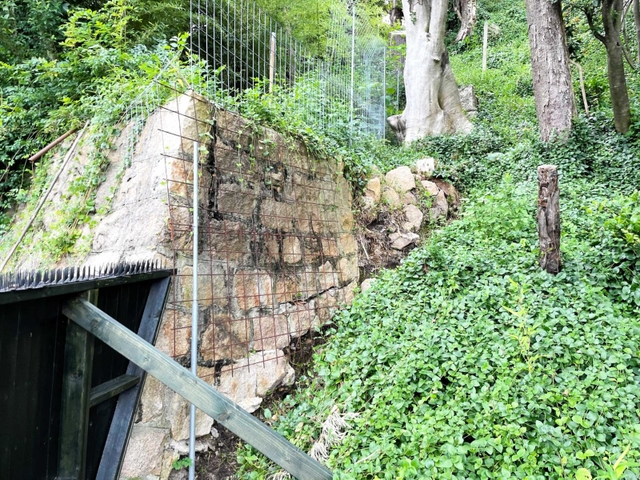 予定地の急斜面にある石積み＝西宮市西平町