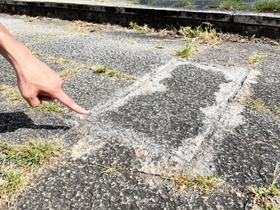シリコンが固まり、草が生えてこなくなった場所＝西宮市津田町