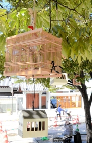 竹で組まれた虫かごがつるされている三軒寺前広場＝伊丹市中央２