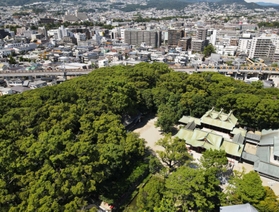 市街地にこんもり。緑豊かな「えびすの森」＝西宮市社家町