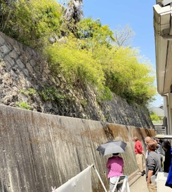 急斜面を支える古い石積みを見上げる住民ら。すぐ隣に民家が立つ＝４月２１日、西宮市西平町