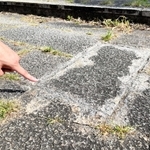 シリコンが固まり、草が生えてこなくなった場所＝西宮市津田町