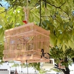 竹で組まれた虫かごがつるされている三軒寺前広場＝伊丹市中央２